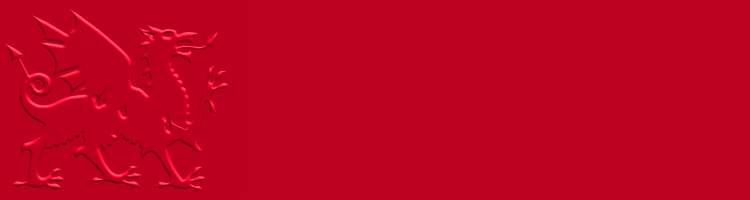 FF1 Wales watermark icon